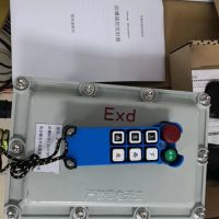 宜昌防爆工業(yè)遙控器