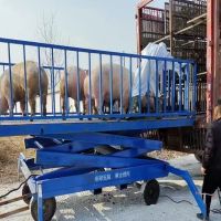 河南升降平臺(tái)廠家、轉(zhuǎn)豬臺(tái)、升降平臺(tái)銷售